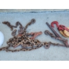 Image 2 : Lot of Chains, Hooks, Hoist, Chain Binders in Bucket