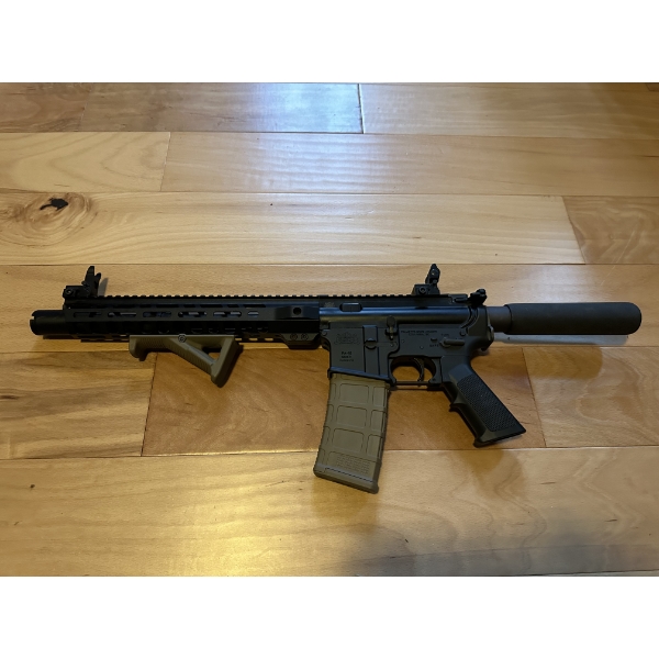 Palmetto State Armory AR-15, 5.56