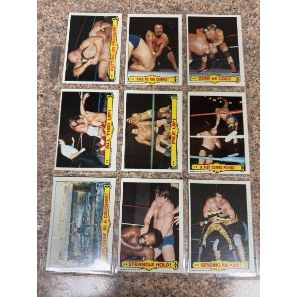 9 - 1985 WWF Wrestling Cards In Plastic Protector - Vintage & Hard To Find - Mint Condition