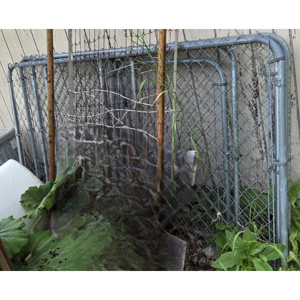Metal Fencing Panels with Gate