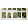Image 7 : MINT 1974 TOPPS BASEBALL CARDS - 15 ASSORTED SLEEVED CARDS IN NEVER TOUCHED FRESH CONDITION 