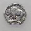 Image 2 : 1937 CAC F12 Buffalo Five Cents Coin In Holder