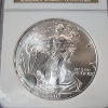 Image 2 : 2003 American Silver Eagle $1 - 1 oz .999 Fine Silver - Graded by NGC MS 69