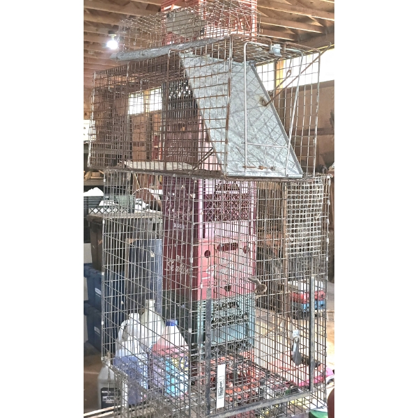 3 Critter Traps - Squirrel, Ground Hog & Fox Size