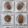 Image 5 : Two Binder Pages of Assorted Pressed Pennies From Various Landmarks