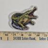 Image 2 : Alligator Man 5oz Copper Coin .999 Fine Colorized Shaped Round