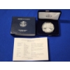 Image 1 : 2019 American Eagle 1 oz .999 Fine Silver Proof 