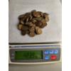 Image 1 : Lot of Assorted Wheat Pennies (423g) - AFV: $1.36 (estimated by weight)