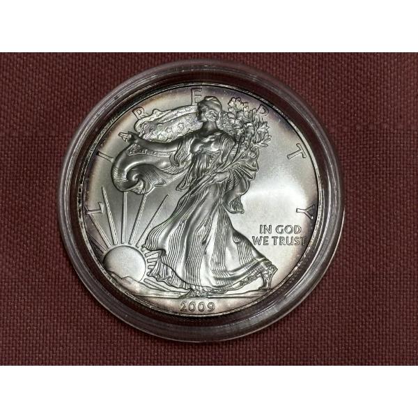 2009 American Silver Eagle - 1Toz .999 Silver