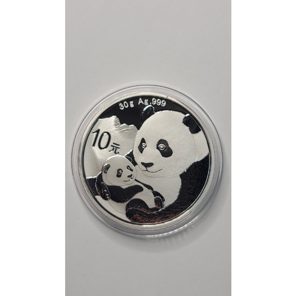 2019 Chinese 10 Yuan Panda 30 Grams .999 Fine Silver Coin In Coin Capsule
