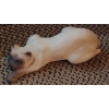 Image 4 : 16" Crouching Cat Figure With Baskets As Shown