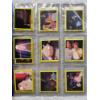 Image 21 : DC Licensed Trading Stickers - Batman: The Animated Series - 24 Pages x 9 Stickers = 243 Stickers!!!