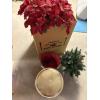 Image 1 : *Pick Up At Mantua Home-No Shipping Available*  Fake Poinsettia - Small 27 " Christmas Tree