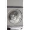 Image 4 : NGC 2005 MS 69 First Strikes 1 Troy Ounce .999 Fine Silver American Eagle