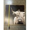Image 2 : Highland Cow Photo Canvas - 27.5x27.5" 