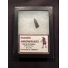 Image 1 : 58-51 BC Roman Empire Arrowhead - Used In Roman Wars In Gual In Display Box - Mint