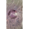 Image 6 : Beautiful Fenton Pink Rose Opalescent Candy Dish - No Lid