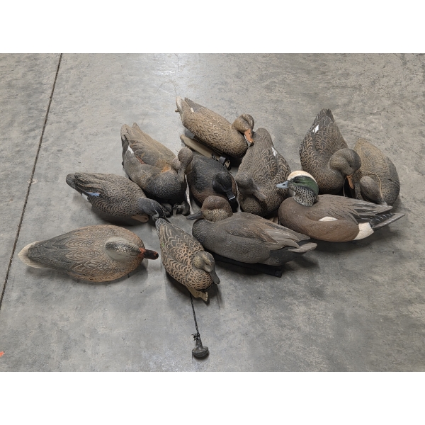 Eleven Life Size Floating Duck Decoys 