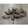 Image 1 : Eleven Life Size Floating Duck Decoys 