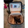Image 1 : New Black Travel Case With Strap, 2 New Ladies Wallets, Seashell, And Small Glass Trinket Box