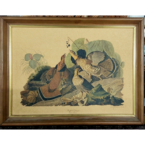 Vintage John James Audobon Art Print "Ruffed Grouse" Framed on Art Board -  17" by 13"