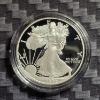Image 2 : 2004-W American Silver Eagle 