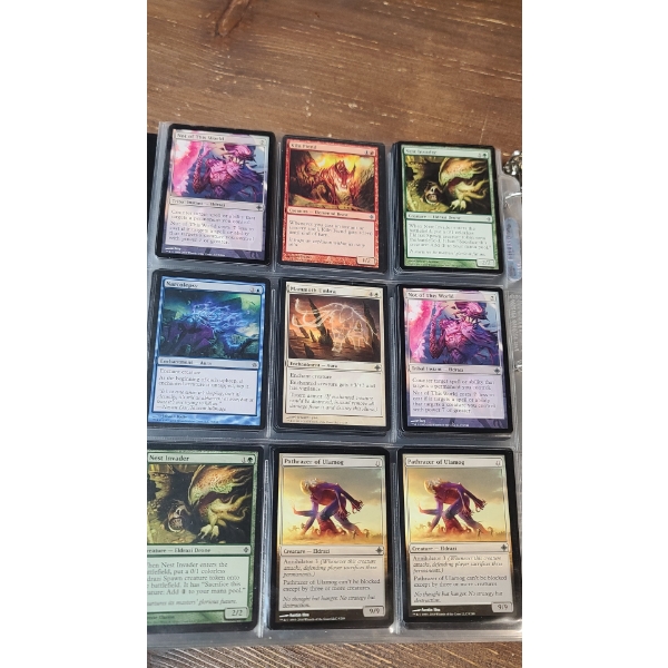 Large Assortment Of Magic The Gathering Cards Including Signed, Holos & Common Cards