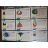 Image 14 : Star Trek The Next Generation Trading Cards in a Binder  - All Pages Shown