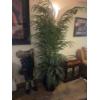 Image 1 : Huge, Lush Green Potted Faux Plant
