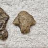 Image 10 : EARLY AMERICAN! Antique Assortment of Native American Stone Artifacts including Arrow/Spear Heads