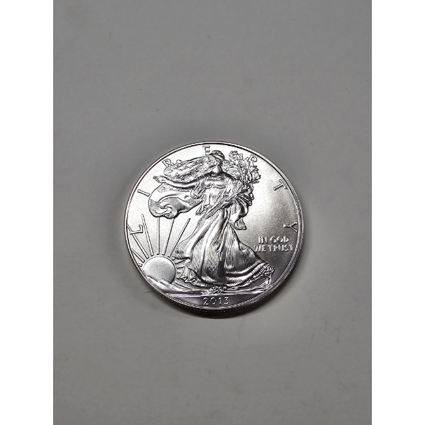 2013 1 oz Fine American Silver Eagle Bullion Coin