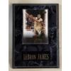Image 1 : LeBron James Upper Deck St. Vincent State Champs Card Mounted on a Plaque