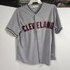 Image 1 : Majestic Cool Base MLB Cleveland Indians Blank Gray Away Baseball Jersey Size Large