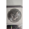Image 4 : NGC 2011-S MS 69 Early Releases 1 Troy Oz .999 Fine Silver American Eagle 