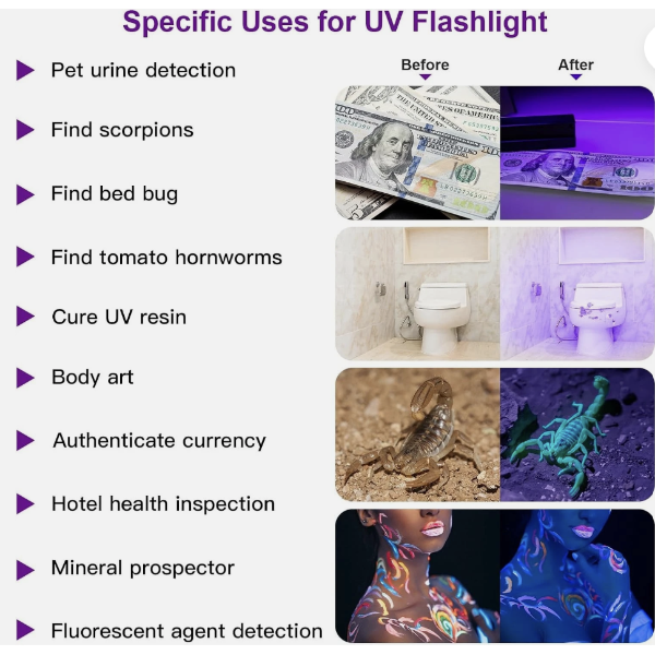 Brand New - Set of 2 - Professional UV Ultraviolet Flashlight Black Light 395nm