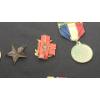 Image 7 : Assorted Service & Sport Medals/Pins