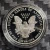 Image 3 : 1999-P American Silver Eagle 