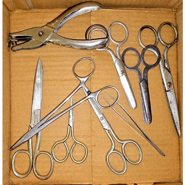 Assorted Scissors and Hole Punch