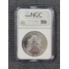 Image 2 : NGC MS69 1999 American Eagle 1 Oz Silver Round