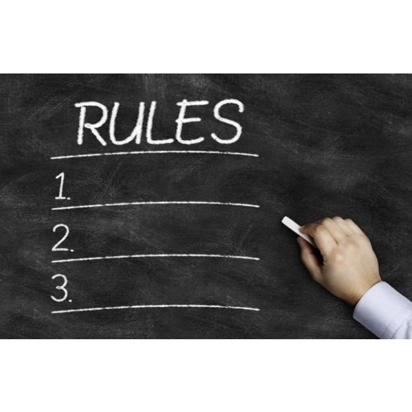 *Auction Rules & Terms!* PLEASE READ! DO NOT BID ON THIS LOT! Terms & Conditions Only