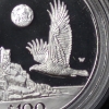 Image 6 : Amazing 1998 Platinum 1.Tr Oz .999 Fine Platinum American Liberty Head Coin With Presentation Case