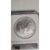 Image 4 : NGC 2007-W MS 69 Early Releases 1 Troy Ounce .999 Fine Silver American Eagle