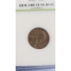 Image 10 : International Numismatic Bureau 1958-P Lincoln Cent & Assorted Years San Francisco Mint Wheat Cents 