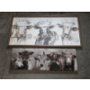 Image 1 : Excellent Condition Cow Wall Decor 30''x10'' & 36''x19''