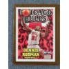 Image 10 : Chicago Bulls Basketball Magazine & Michael Jordan/Dennis Rodman Trading Cards - Ft. Holo!