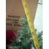 Image 5 : *Pick Up At Mantua Home-No Shipping Available*  Fake Poinsettia - Small 27 " Christmas Tree