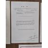 Image 8 : Lot of 4 Vintage Stock and Trust Certificates - Including Issue to Newman Bros & Worms