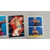 Image 4 : Assorted 1990's Titan Sports "Hulk Hogan" Cards