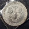 Image 2 : 2004 United States Silver .999 1 Oz Eagle