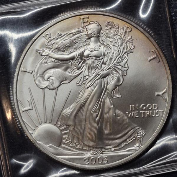 2003 Uncirculated United States .999 Silver 1 Oz Eagle
